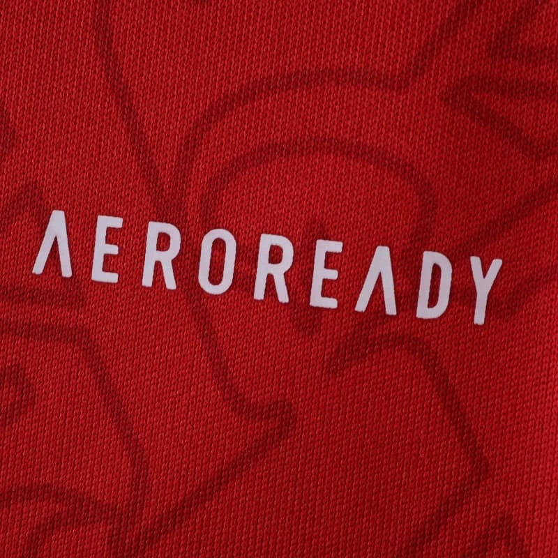 Arsenal F.C. – Camiseta Home 25/26 Manga Larga Fan Version
